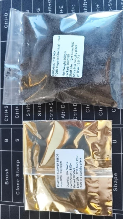 Vibrant Peacock Flower Seeds Pack of 2